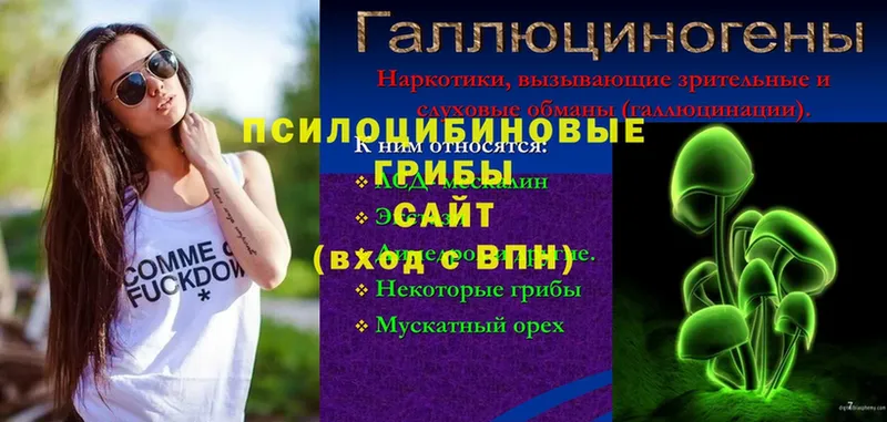 Псилоцибиновые грибы мицелий  Алексин 